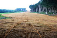 Coir Netting Erosion Control Fabrics - 3