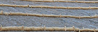 Biodegradable Rice Wattle