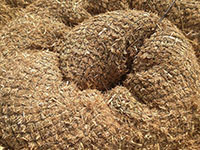 Standard Straw Wattle Boom