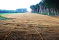 Coir Netting Erosion Control Fabrics - 3