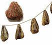 OIL-NETS