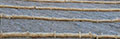 Biodegradable Rice Wattle