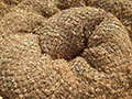 Standard Straw Wattle Boom